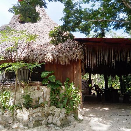 Ecolodge Uh May Francisco Uh May Luaran gambar