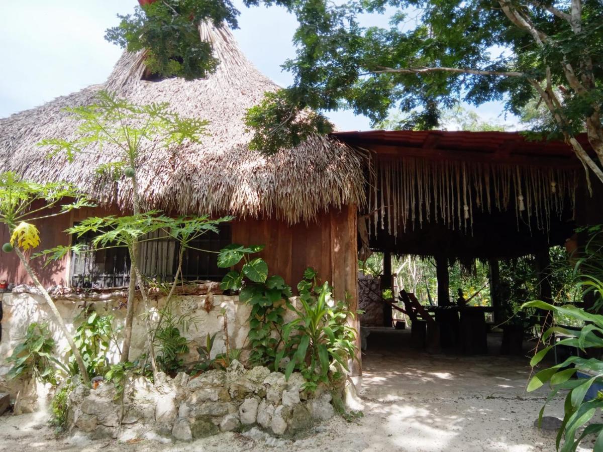 Ecolodge Uh May Francisco Uh May Luaran gambar