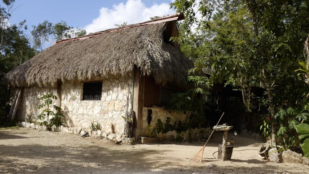 Ecolodge Uh May Francisco Uh May Luaran gambar