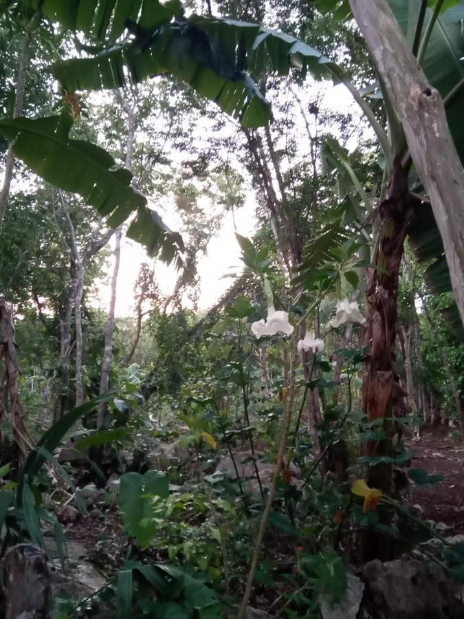 Ecolodge Uh May Francisco Uh May Luaran gambar