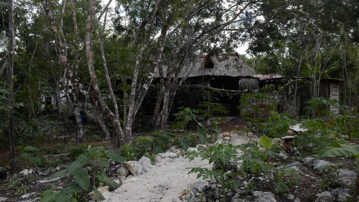 Ecolodge Uh May Francisco Uh May Luaran gambar