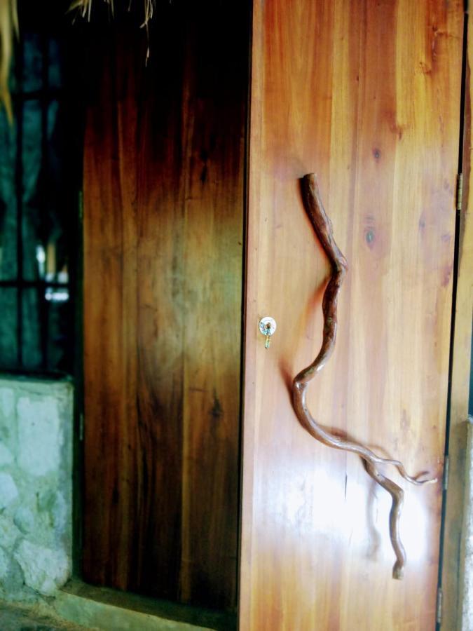 Ecolodge Uh May Francisco Uh May Luaran gambar