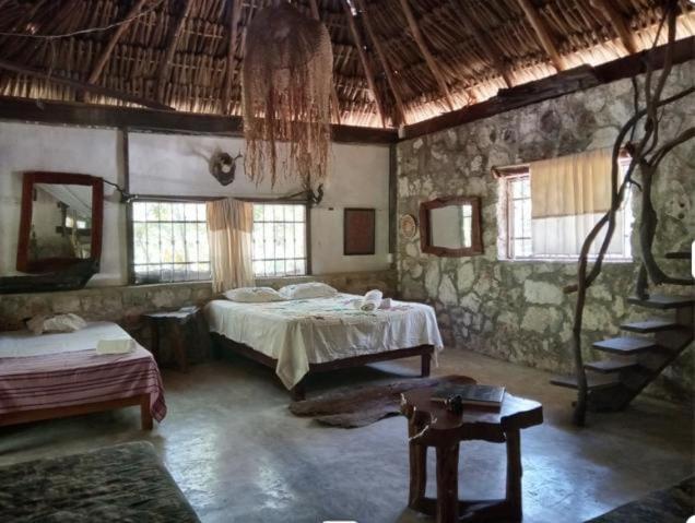 Ecolodge Uh May Francisco Uh May Luaran gambar