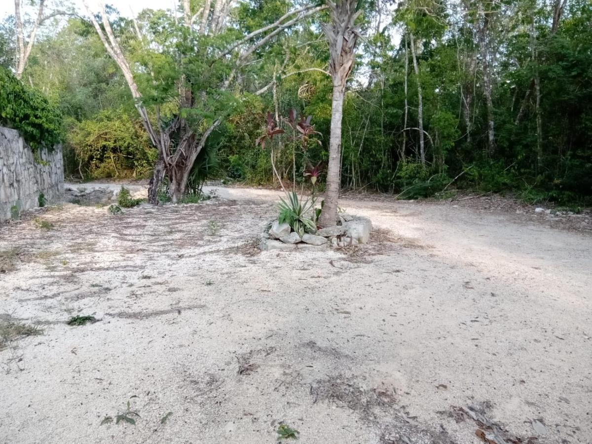 Ecolodge Uh May Francisco Uh May Luaran gambar